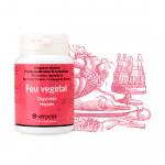 Feu Vegetal - Protección Hígado (90caps)