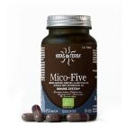 MICO FIVE CON CHAGA (70 CAPS.VEGETALES)