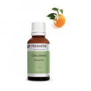 Miniatura - PRANAROM ACEITE NARANJA DULCE  CÁSCARA BIO FORMATO FAMILIAR (30ml)