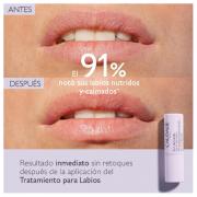 Miniatura - CAUDALIE DUPLO STICK LABIAL 