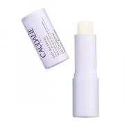 Miniatura - CAUDALIE DUPLO STICK LABIAL 