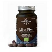 Miniatura - HIFAS DA TERRA MICO FIVE CON CHAGA (70 CAPS.VEGETALES)