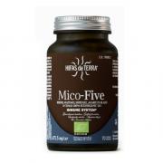 Miniatura - HIFAS DA TERRA MICO FIVE CON CHAGA (70 CAPS.VEGETALES)