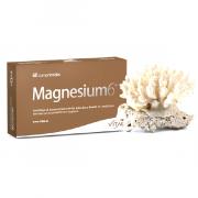 Miniatura - VITAE PACK MAGNESIUM 6 (2 UNIDADES X 60 COMPRIMIDOS)