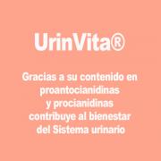 Miniatura - VITAE PACK UrinVita (30 Capsulas) + Vulbiotic Probiótico Vaginal (30 Capsulas)