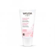 Miniatura - WELEDA RITUAL FACIAL CALMANTE PIEL SENSIBLE (LECHE LIMPIADORA+CREMA FACIAL+ NECESER) 