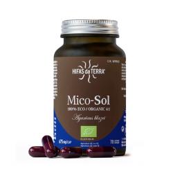 MICO-SOL CHAMPIÑON DE SOL (70 CÁPS.VEGETALES)